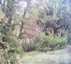 PHOT0034